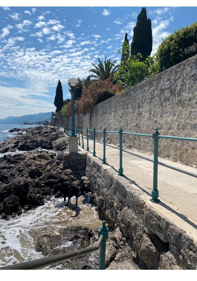 Secret Hideaway In The Volosko Old Town Opatija Zewnętrze zdjęcie
