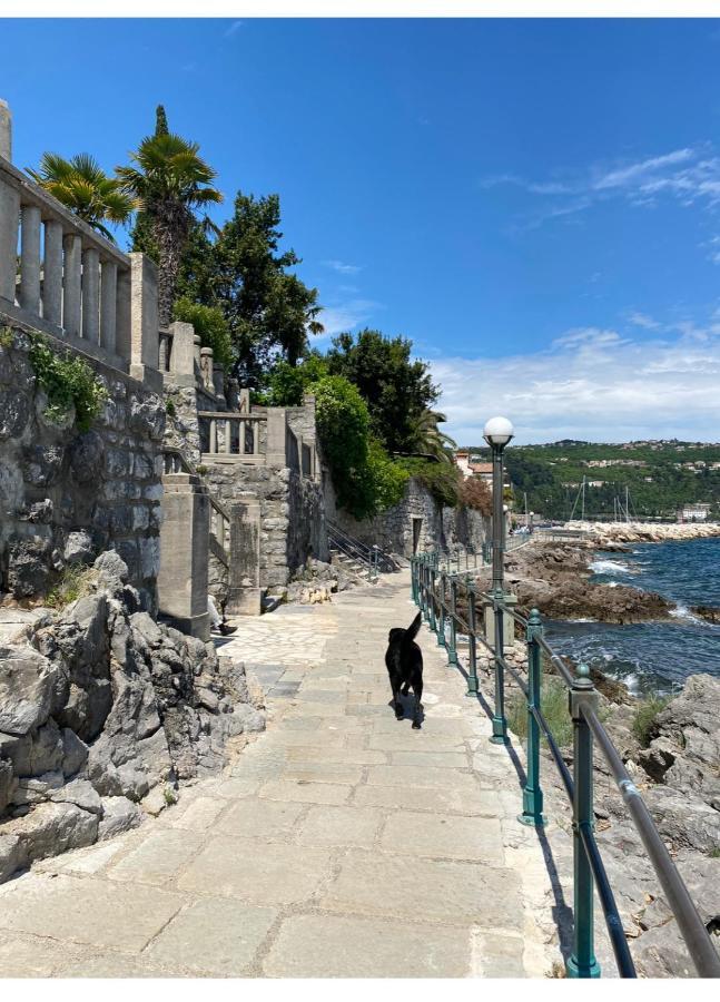 Secret Hideaway In The Volosko Old Town Opatija Zewnętrze zdjęcie